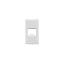 Modulo Informatica Rj45 Stella Sem Tomadaadasteck 868096 2