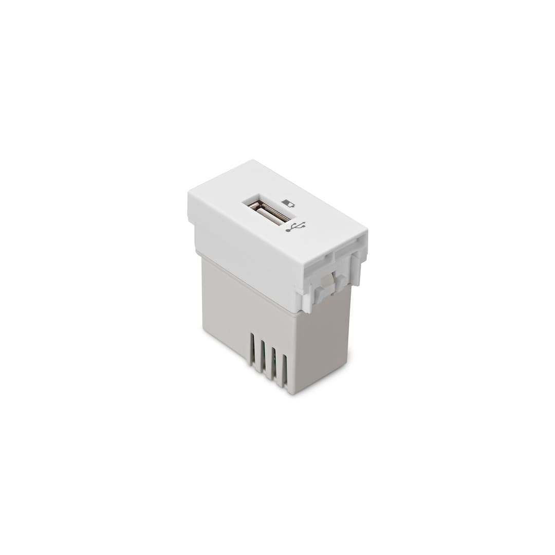 Módulo Tomada Carregador Usb Stella 10A 127/220V~ Steck 868103