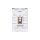 Conjunto Modulo Telefonia Stella Rj11 4 Vias Steck 869194 5