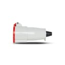 Acoplamento Newkon 2P+T 32A 380/440V 9H Vm Ip44 Steck N3259 3
