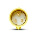 Plug Newkon 2P+T 32A 100/130V 4H Am Ip44 Steck N3274 1