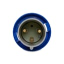 Plug Newkon 2P+T 63A 200/250V 6H Az Ip67 Steck N3576 1