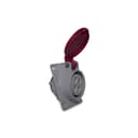Tom Emb Newkon 3P+T 16A 24V 2H Li Ip44 Steck N4042 1