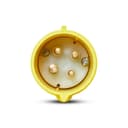 Plug Newkon 3P+T 16A 100/130V 4H Am Ip44 Steck N4074 1