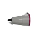 Acoplamento Newkon 3P+T 32A 24V 2H Ip44 Steck N4252 2