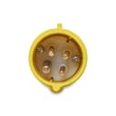 Plug Newkon 3P+T 32A 100/130V 4H Am Ip44 Steck N4274 1