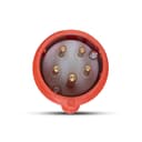 Plug Newkon 3P+N+T 16A 380/440V 6H Vm Ip44 Steck N5076 1