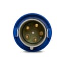 Plug Newkon 3P+N+T 63A 200/250V 9H Az Ip67 Steck N5579 1