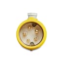 Plug Brasikon 90 5P 16A 100/130V 4H Am Steck S11632 1