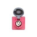 Tom Emb Shock Tite 2P+T 16A 24V 2H Li Ip67 Steck S3042W 3
