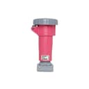 Acoplamento Shock Tite 2P+T 16A 24V 2H Li Ip67 Steck S3052W 3