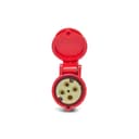 Acoplamento Brasikon 2P+T 16A 380/440V 9H Vm Ip44 Steck S3059 2