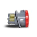 Tom Emb Brasikon 2P+T+Pil 200A 380/440V 9H Vm Ip67 Steck S3849 0
