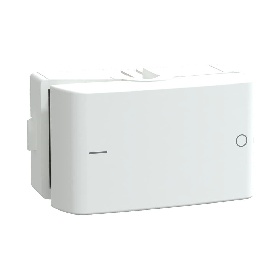 Modulo Interruptor Bipolar Simples 10Ax 250V 1M Branco Fosco, Schneider Electric, S400407