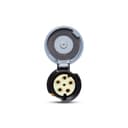 Acoplamento Shock Tite 3P+N+T 63A 600/690V 5H Pt Ip67 Steck S5555W 0
