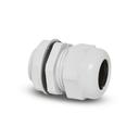 Prensa Cabo M40X1,5 Aletado Cz Steck S876Ci 1