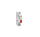 Disjuntor Serie Sd61 6A 1P 400V Curva B 3Ka Steck Sdd61B06 3