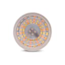 Lâmpada Spot Steck Ambiente Conectado 4,8W Rgb Cct Wi-Fi 2