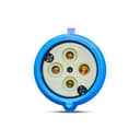 Plug Neg Brasikon 3P+T 16A 200/250V 9H Az Ip44 Steck Sn4079 2