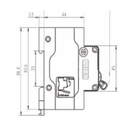 Disjuntor Bipolar 100A 2P CURVA C 10KA Steck SDD2C100 4